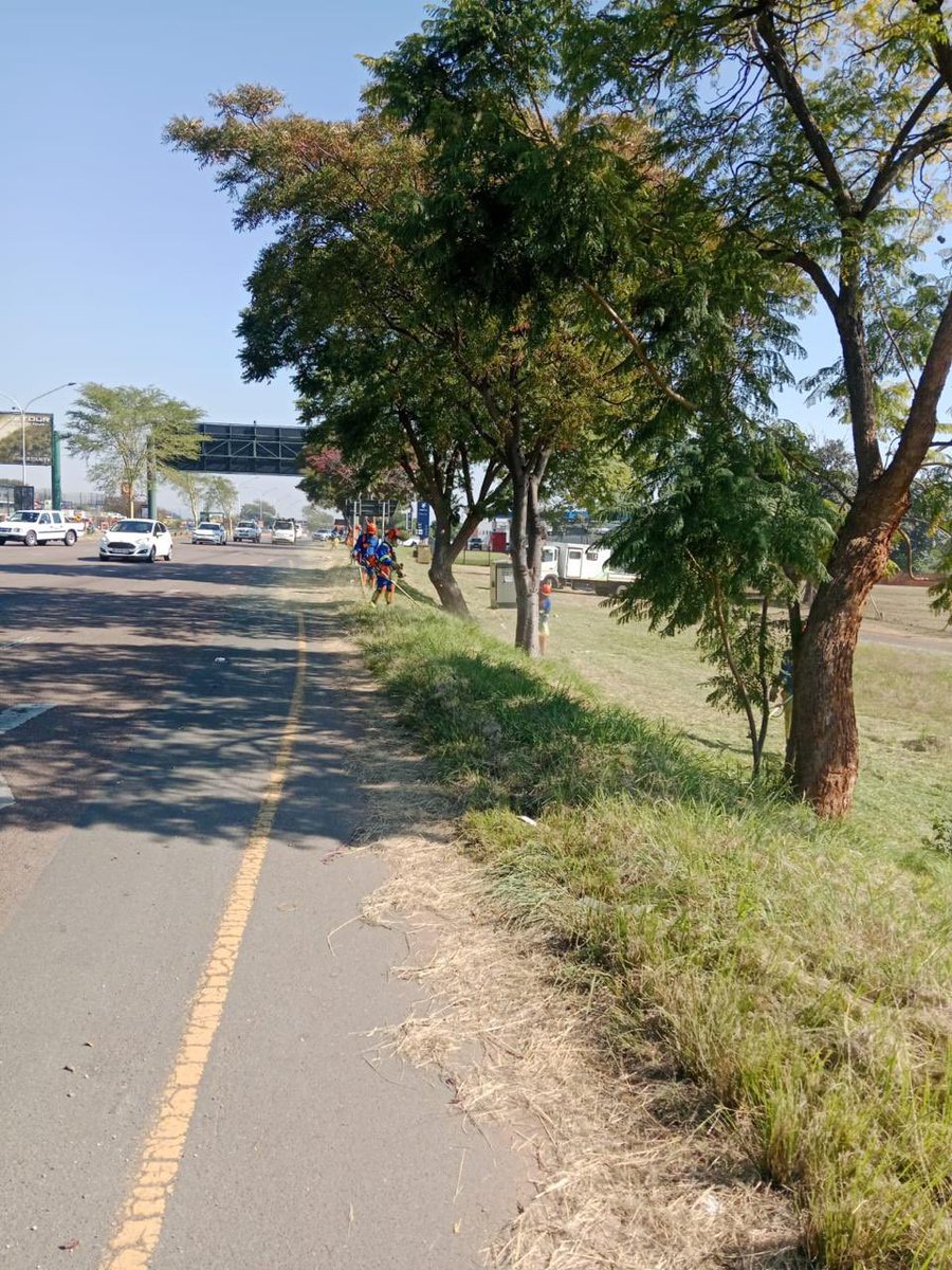 LemoSebo's tweet photo. Grass cutting operations are underway along Sefako Makgatho Drive, Ward 5, improving road visibility, enhancing safety, and keeping our public spaces clean and well-maintained.
#ServiceDelivery #ActionSA #TshwaneWorks https://t.co/JOGTkObjvY
