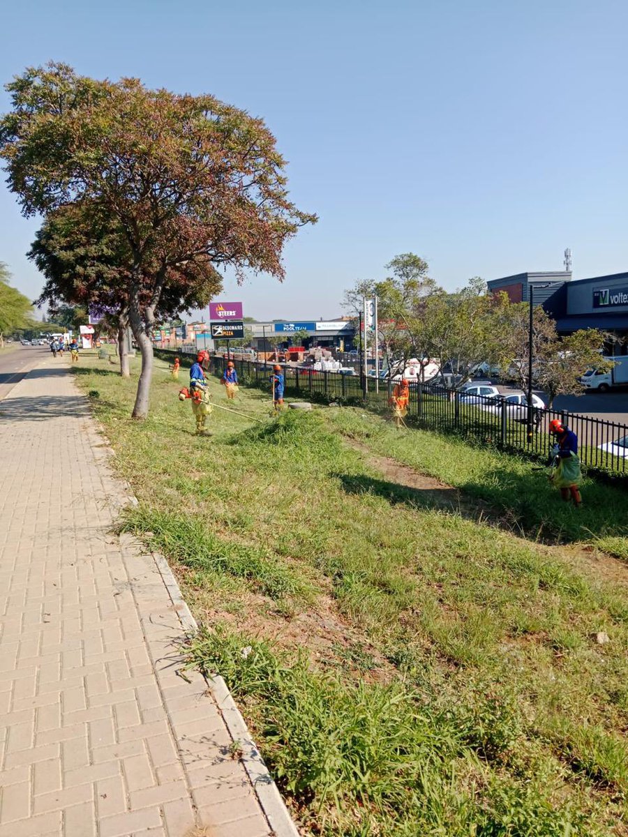 LemoSebo's tweet photo. Grass cutting operations are underway along Sefako Makgatho Drive, Ward 5, improving road visibility, enhancing safety, and keeping our public spaces clean and well-maintained.
#ServiceDelivery #ActionSA #TshwaneWorks https://t.co/JOGTkObjvY