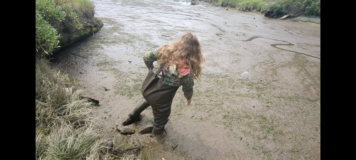 Jessica_TTG's tweet photo. American #waders in American #tidalmud. Coming to https://t.co/oxApdWHy4a next week. #qs #quicksand #mud https://t.co/kO7Ntc9e75