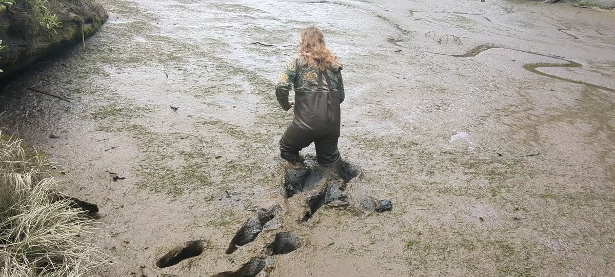 Jessica_TTG's tweet photo. American #waders in American #tidalmud. Coming to https://t.co/oxApdWHy4a next week. #qs #quicksand #mud https://t.co/kO7Ntc9e75