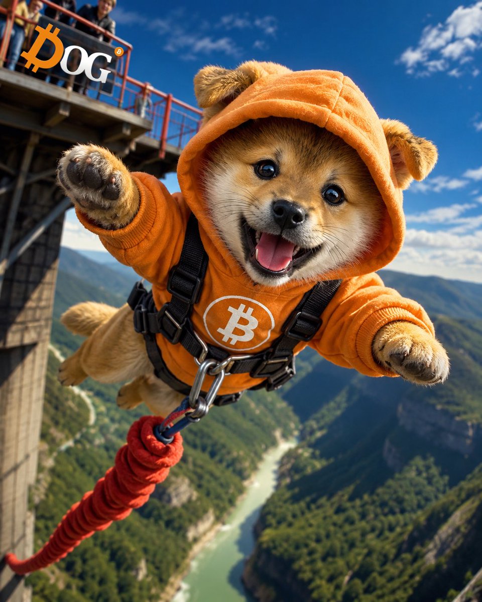 CryptStomb1217's tweet photo. Extreme conviction
solana:dog1viwbb2vWDpER5FrJ4YFG6gq6XuyFohUe9TXN65u https://t.co/5V1WomnMhV