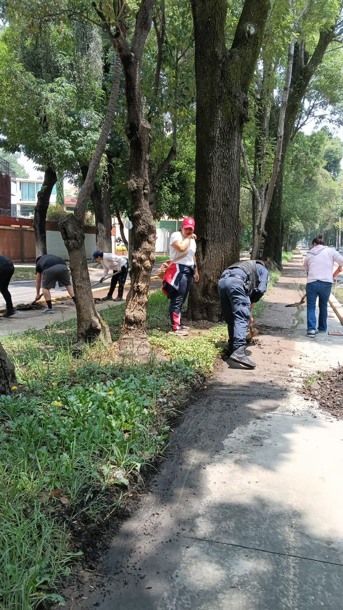 bicimixtles's tweet photo. Gracias a todos los que participaron en hacer comunidad para darle una manita de gato a la #ciclovíaMetropolitana, policía de @GobNau, la regidora Lupita Mejía, a Luz Hernández y a Hugo Santillán @Daiguchisan 🙌 https://t.co/IuvG6nF7aX