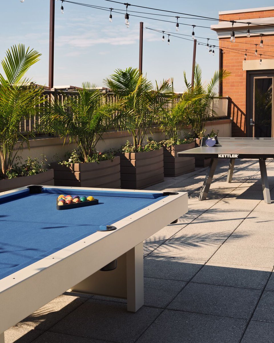 Metropolitan40P's tweet photo. Amenity Highlight of the Week ✨
Where elevated living meets effortless leisure 🎱🌿
Soak in the sunshine, unwind under glowing string lights, and enjoy a little friendly competition with our rooftop game lounge. From pool to ping pong, every detail is designed for relaxation,... https://t.co/E28OigIsqm