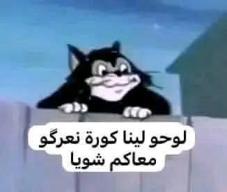 Zahri_10i's tweet photo. النرويج : https://t.co/wTZk17fI6k