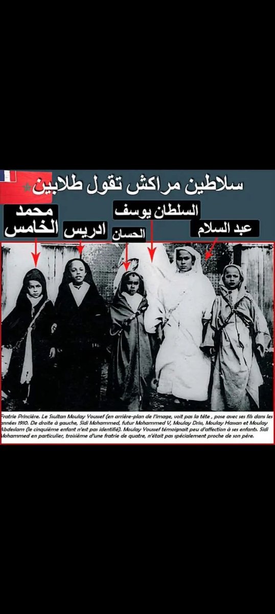 doudi tweet media