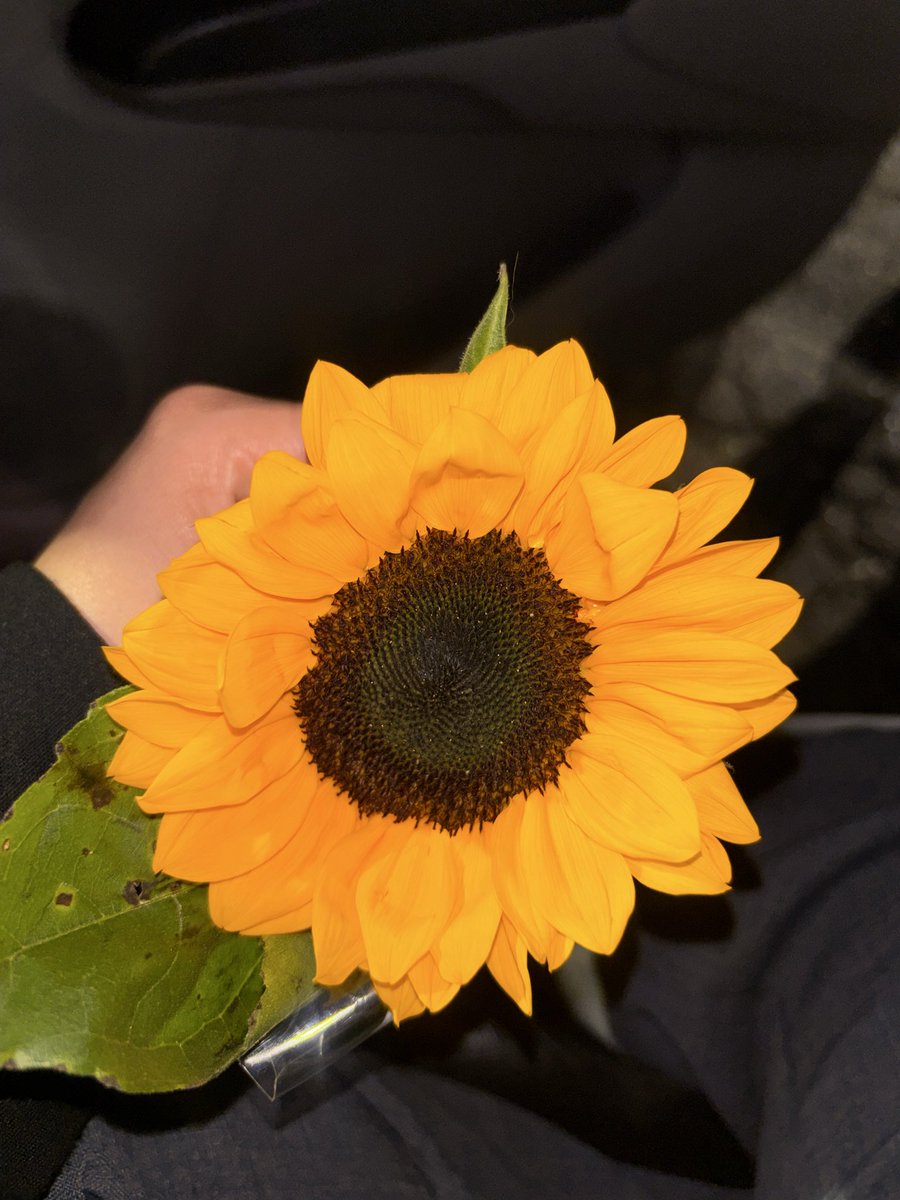 nuneris's tweet photo. eu já nem sei mais que cara fazer quando ela aparece com flores https://t.co/sCyhMZBlh5