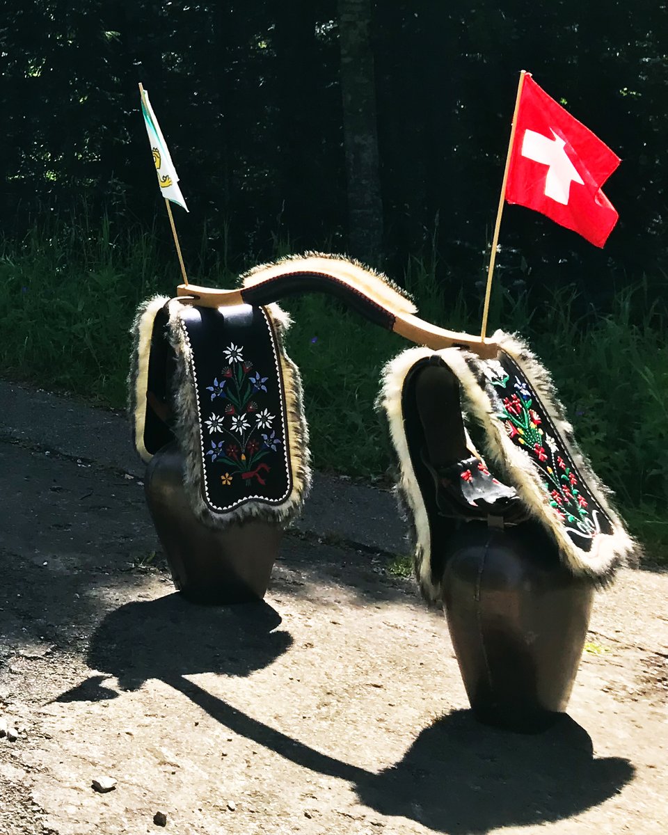 hochblau's tweet photo. Ein paar Impressionen von der Säntis Classic 🚴‍♂️

Rennrad, Alpstein, Schwägalp – und dieses besondere Gefühl, wenn aus Kilometern ein Erlebnis wird.

Am 14. Juni 2026 geht die Säntis Classic wieder an den Start.
Mehr Informationen:
https://t.co/UjPVt6X9yr

#hochblau #SäntisClassic #Rennrad