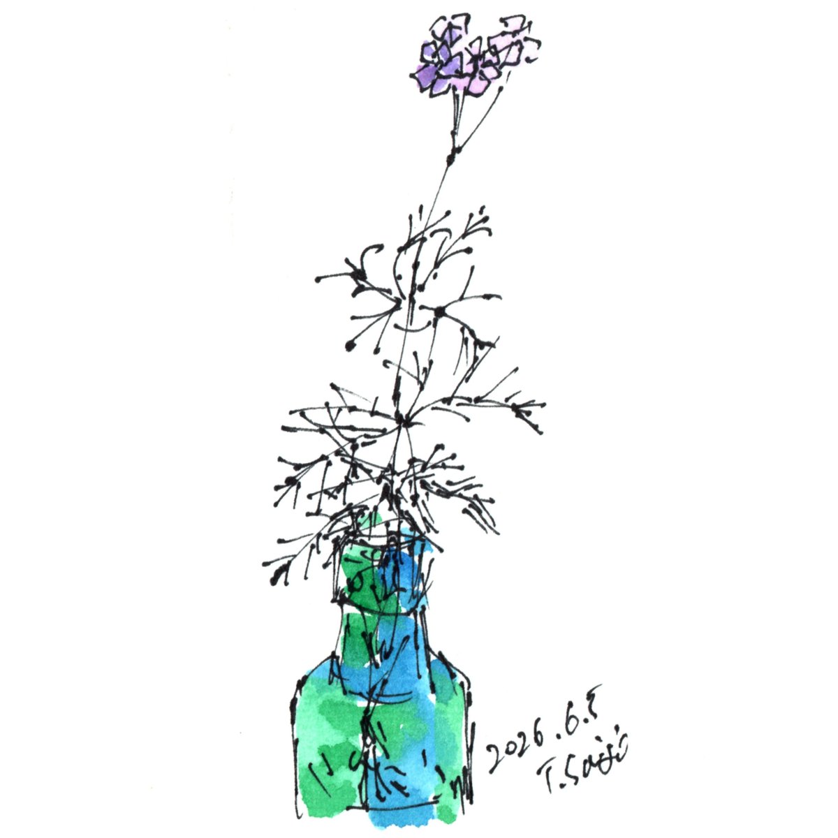 saiga2711's tweet photo. 庭に咲いていた小さな花を描きました。#花 https://t.co/hfxhXAFRTI