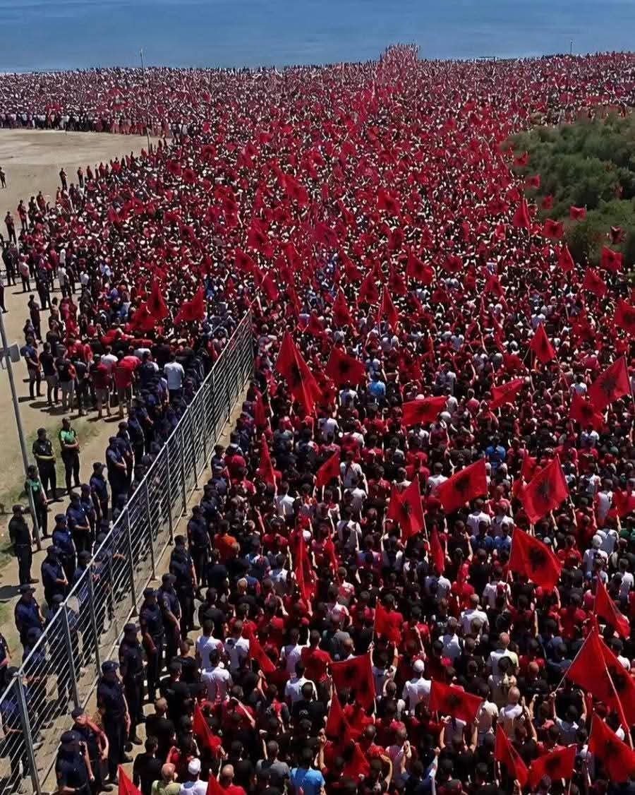 celiasanchezgr's tweet photo. Οι Αλβανοί αντιστέκονται στο ξεπούλημα της χώρας τους. 
Εδώ με ΠΑΣΟΚ-ΝΔ ξεπουλησαμε τα πάντα.
#ΝΔ_εγκληματική_οργάνωση #ΝΔ_ξεφτιλες https://t.co/Rub8npp15C
