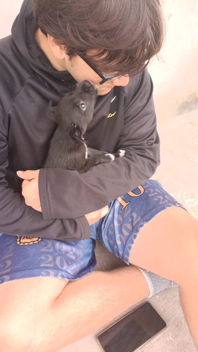 OMFA_Refugio's tweet photo. La bebita ya una hermosa familia y ahora se llama Luz ☺️ 
Muchas gracias a su familia por elegir adoptar!! https://t.co/IzpIfmi4Yp