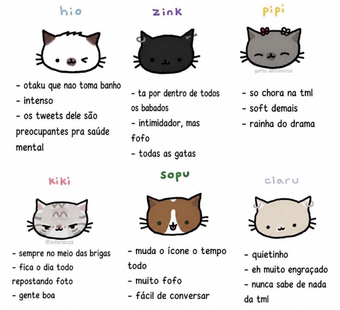 dinha chrollozinho tweet media