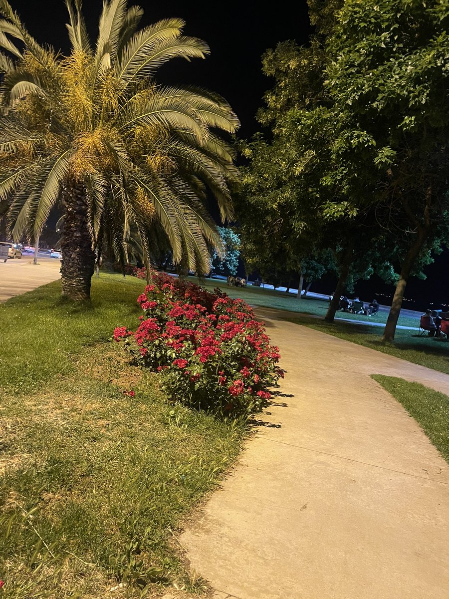 rukenarvas's tweet photo. #dragos sahil🌺🌴 https://t.co/o10LL7JfTT