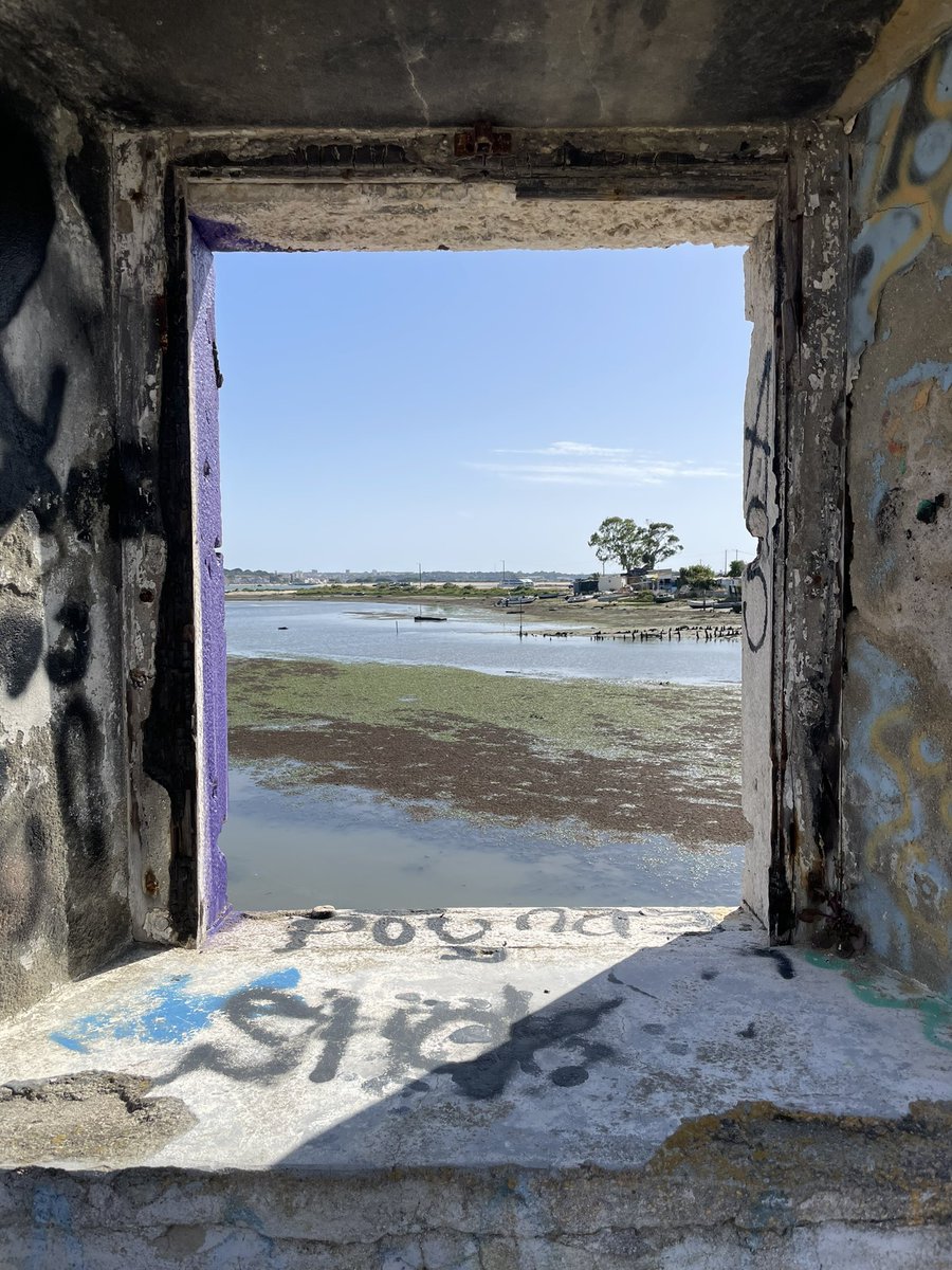 RSK_LK's tweet photo. Window ๐ท
#artphotography
#streetphotography
#mycollection https://t.co/nhV4glBrR7