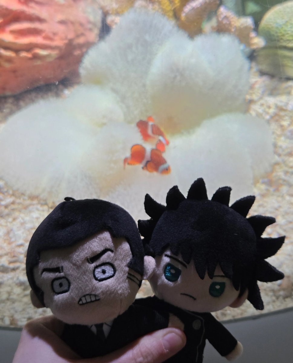 beetlethirteen's tweet photo. clownfish romance https://t.co/SbDrswSzVD