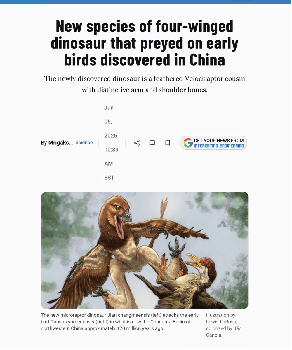 RudiLondon's tweet photo. IS JURASSIC PARK COMING REAL… https://t.co/rqWywl8IkE