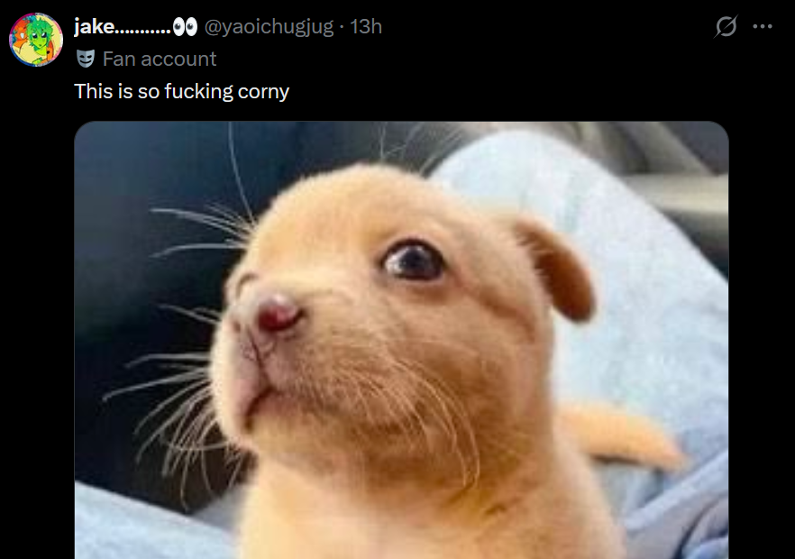burryishere's tweet photo. LIKE GUYS??? 😭😭😭 OH MY GOD YOU GUYS ARE MISERABLE https://t.co/fW5SVESyvc