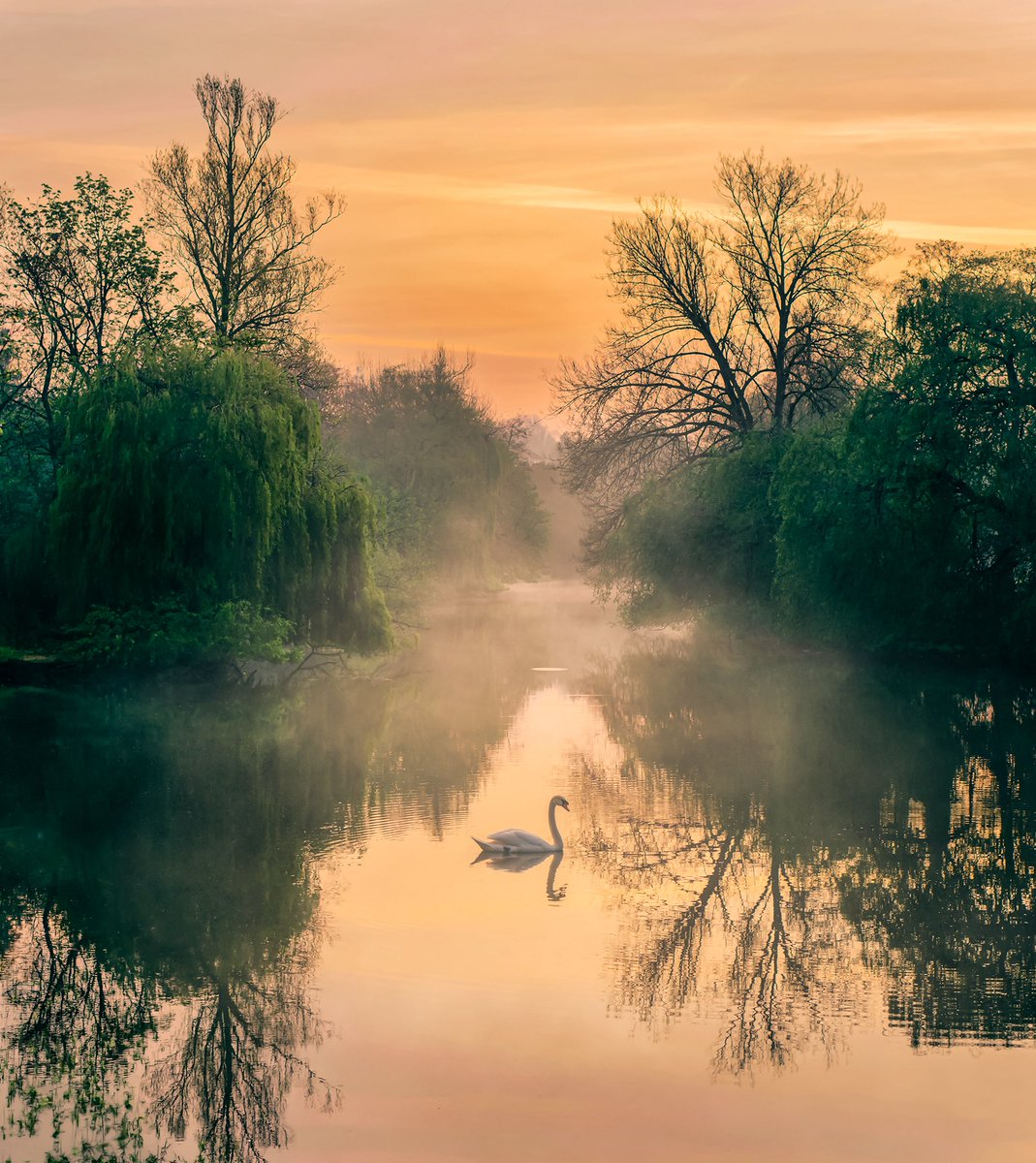 MrBrianRoe's tweet photo. The Grace of a Solitary Dawn

Every local knows the River Leam, but few see it when it truly breathes.
Before the town wakes, before the Mill Bridge fills with the footsteps of the day, there is a fleeting window of absolute stillness.  

https://t.co/jz4or2CLEF https://t.co/nBclhI91Fb