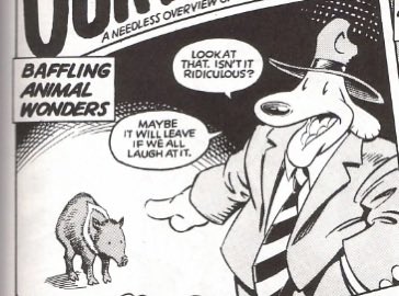 MidenaUnknown's tweet photo. @BumpyBeatz @RatRicoTY The brony thinks they have an opinion! https://t.co/NEg5dzGSrf