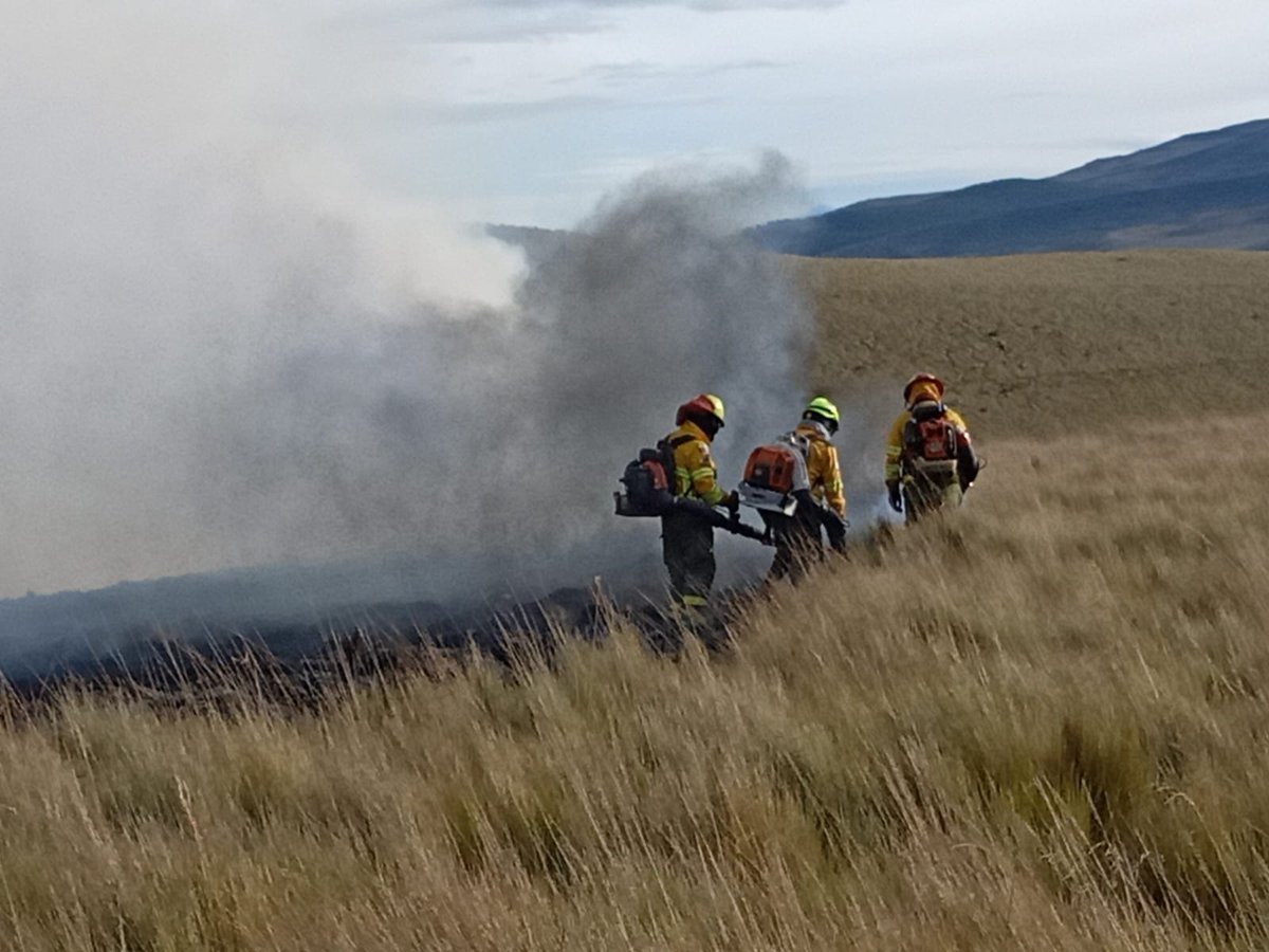 BomberosQuito's tweet photo. 🚒 #EmergenciasUIO | Esta mañana, nuestro equipo controló un incendio forestal en el sector de Yurac, en Píntag.

🧑🏼‍🚒 En el lugar trabajamos junto al equipo de @fonag.

🔍 Mantendremos monitoreo permanente en la zona, para evitar el reinicio del fuego. 

🔥🌳 Los incendios forestales no solo amenazan la flora y fauna, sino también a la vida. Es fundamental reflexionar sobre la importancia de cuidar nuestro entorno y actuar con responsabilidad.

👉🏼 Por favor, no quemes basura ni hierba seca puedes provocar un gran incendio.

🧑🏻‍🚒 En caso de emergencia llama al 9-1-1. 

#BomberosQuito