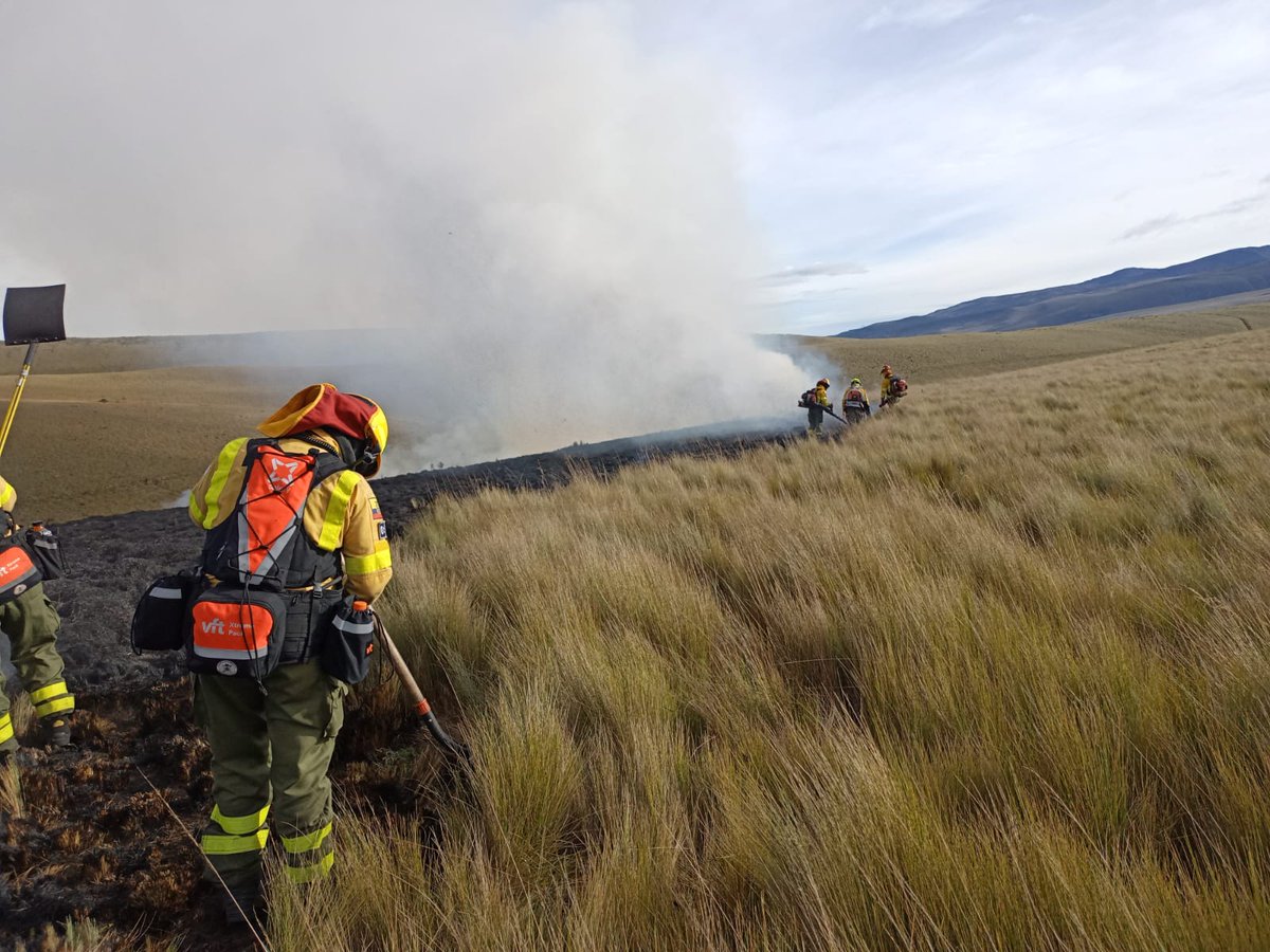 BomberosQuito's tweet photo. 🚒 #EmergenciasUIO | Esta mañana, nuestro equipo controló un incendio forestal en el sector de Yurac, en Píntag.

🧑🏼‍🚒 En el lugar trabajamos junto al equipo de @fonag.

🔍 Mantendremos monitoreo permanente en la zona, para evitar el reinicio del fuego. 

🔥🌳 Los incendios forestales no solo amenazan la flora y fauna, sino también a la vida. Es fundamental reflexionar sobre la importancia de cuidar nuestro entorno y actuar con responsabilidad.

👉🏼 Por favor, no quemes basura ni hierba seca puedes provocar un gran incendio.

🧑🏻‍🚒 En caso de emergencia llama al 9-1-1. 

#BomberosQuito
