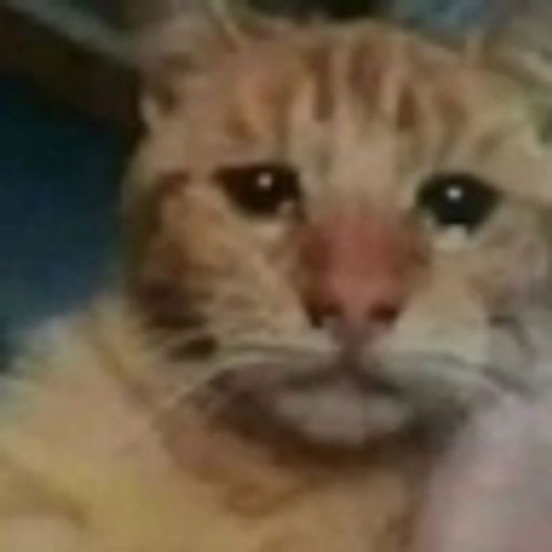 davidd_cloud's tweet photo. otro domingo sin tener un lunes/martes/miercoles/jueves/viernes/sabado/domingo de novios 😿 https://t.co/D8VYHOfc0K