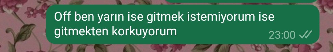 aybilmiyomya's tweet photo. Daha önce çaresiz anlarım oldu ama hiç biri bu kadar çaresiz değildi 🫠 https://t.co/UUiHL574Qy