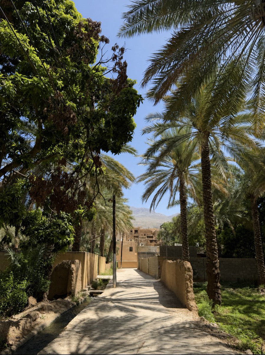 Nada_s224's tweet photo. احب التجارب اللي تساعدك تكتشف نفسك بجوانب مختلفة وتعطيك صورة جديدة دائمًا عن ذاتك، تخليك أقرب لنفسك، أكثر رحمة وعطف وتفهّم لجوانبك الإنسانية.
رحلة اكتشافك لذاتك هي الرحلة المستمرة اللي ما توقف ولا تملها✨
و رحلتي لعُمان كانت احد التجارب اللي حلّقت بي في آفاق التأمل والتفكر 🇴🇲🤍 https://t.co/Jkjbq9G81p