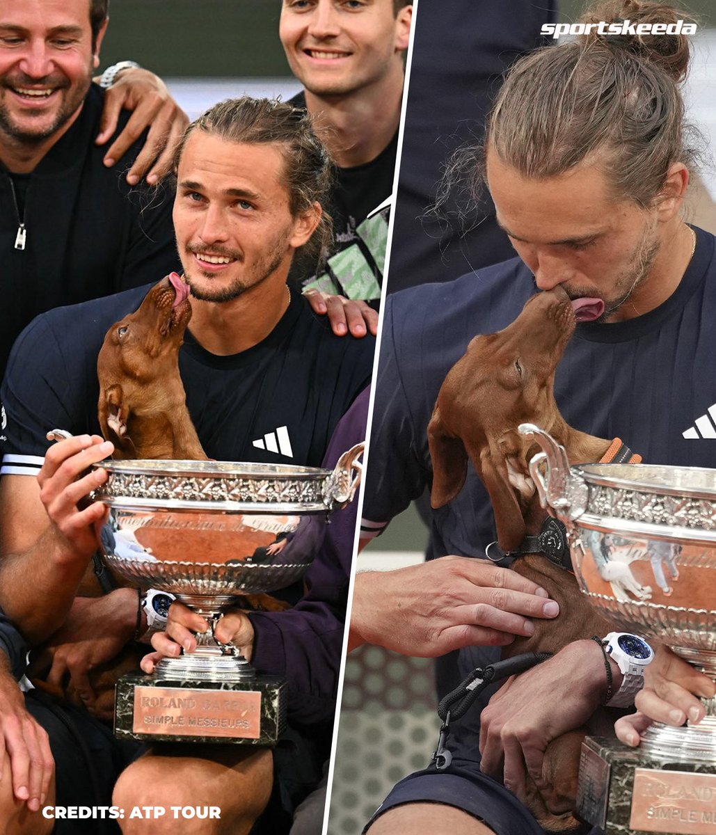 SK__Tennis's tweet photo. The perfect victory celebration! 🐾❤️

Sascha celebrated with his adorable dog by his side, making an unforgettable moment even sweeter ✨ 🐶🏆 https://t.co/DteEgBfpo9