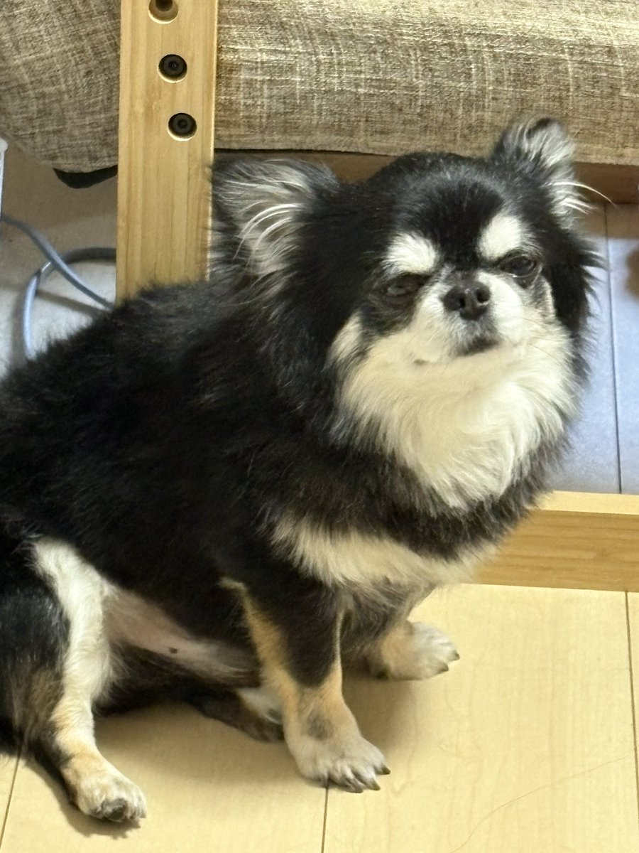 Izumo_0127's tweet photo. 今日オペ入ります生きて帰れよ https://t.co/FJWexkaVG4