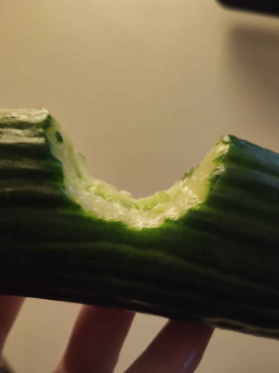SovaVT's tweet photo. healthy chompers, take care of your chompers https://t.co/FC6fI24buU