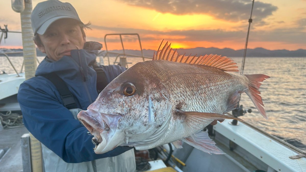 aori02255579's tweet photo. お疲れ様です。
釣りビジョンさんの「沖釣りノトビラ」3話放送開始。
錦江湾では30枚オーバー、南紀白浜は14枚、剣崎で23枚、宮澤君も西伊豆、新潟で爆釣。
最後は2人揃って○デコってオチもありましたが西から乗っ込みを追わせてもらう貴重な体験を楽しませ頂きました
またやりたい(笑

@daiwamiya https://t.co/WLhxgA0MOT