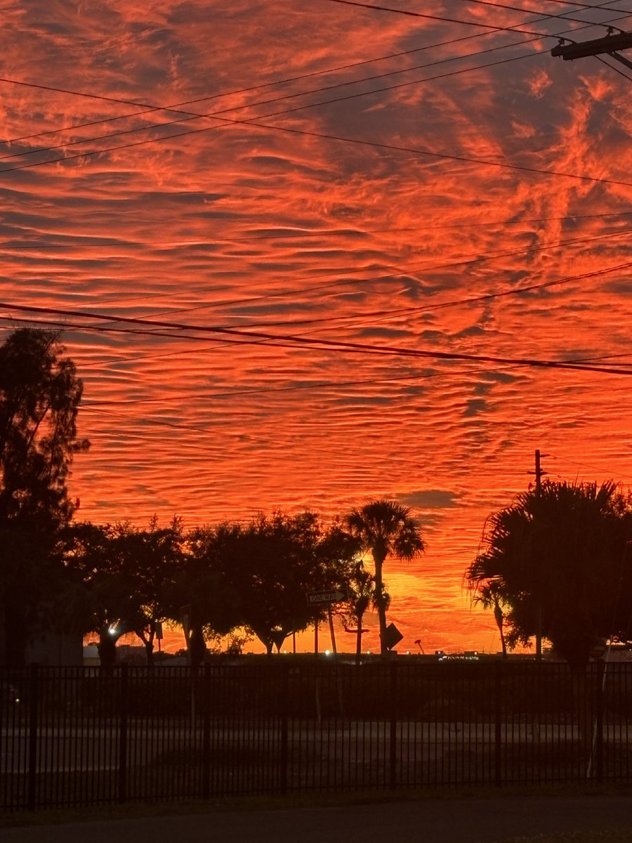 ByrneStiles's tweet photo. @parthosarathi_b Sunset in Tampa https://t.co/0qPXdiyBcj