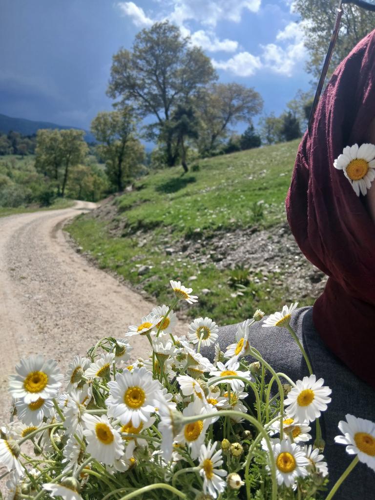ffadimee42's tweet photo. İç sesim: "Her şey güzel olacak."🌼 https://t.co/H6mJ71Dg0l