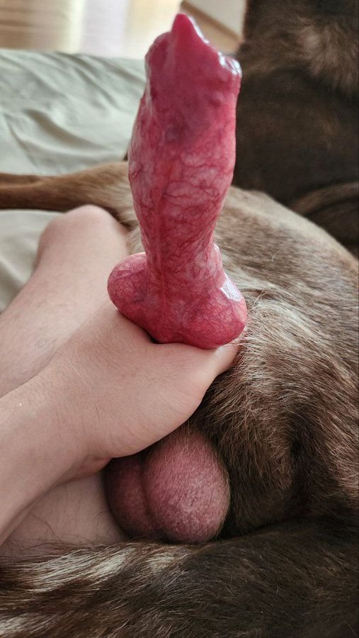 Kinsses999666's tweet photo. Watch me as I Live my Fantasy 🥰 
https://t.co/jhn3TpEVDO
👆👆

#dogmom #bestiality #dogknott #zootwt #zoophilia #dogpride #taboo #teenagegirls #NoLimit 
#AUSummit2026 #dogwhore #horsephiles #USA2026 #dogs
#xvideosِ https://t.co/b3MuqDhwYU