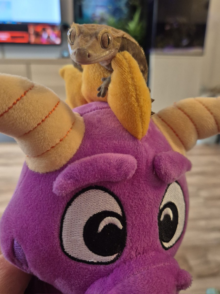 AnimatedAnt's tweet photo. 🥺💜🥺💜🥺💜 #Spyro https://t.co/UFbY8g4jyY