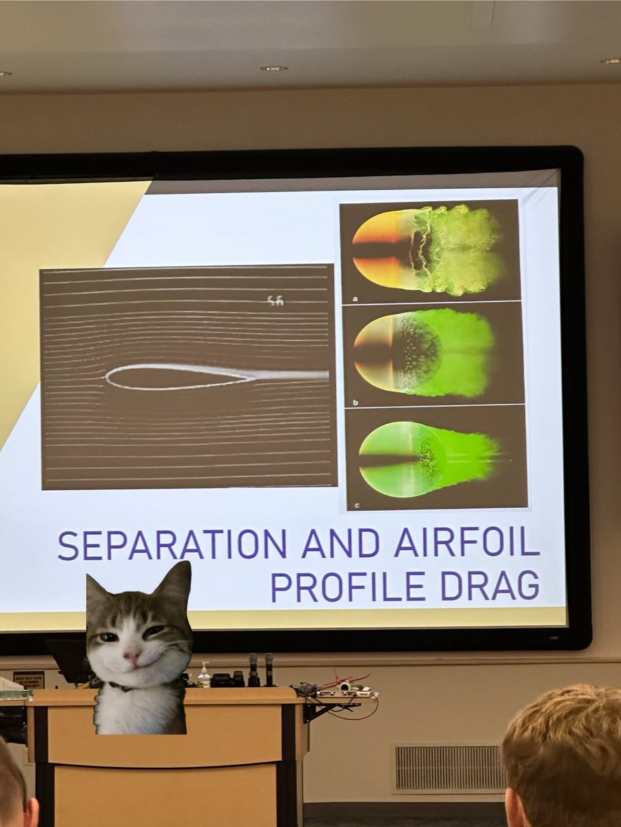 ItxMango's tweet photo. furries 🤝 Aerospace https://t.co/ONrQlnYDsn