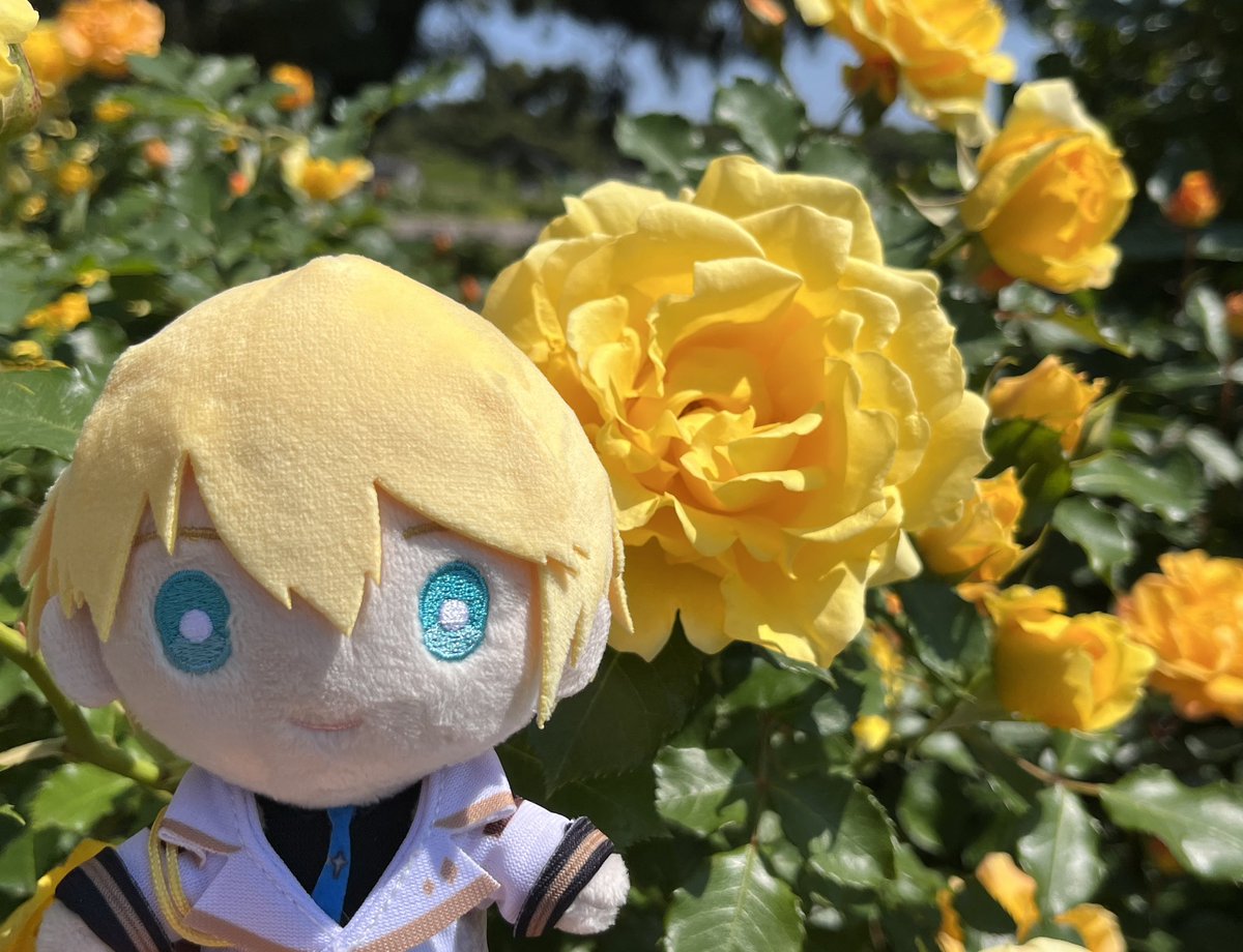 Kari ☆ tweet media