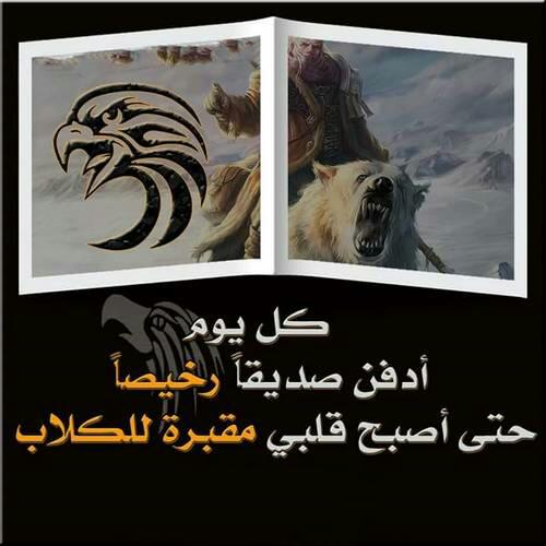 يزن tweet media