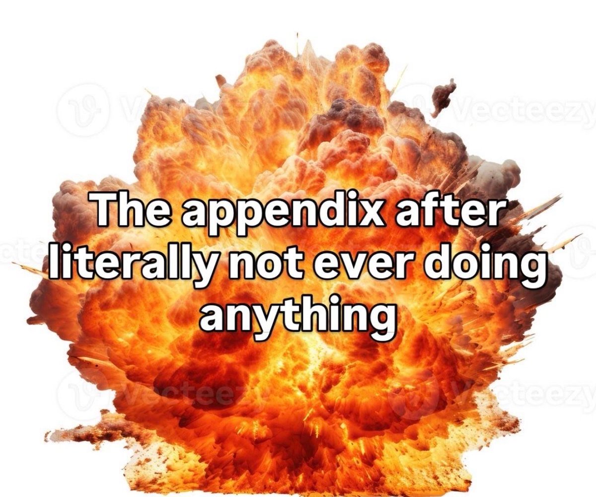nocontextmemes's tweet photo. https://t.co/jkdS7C8WKT