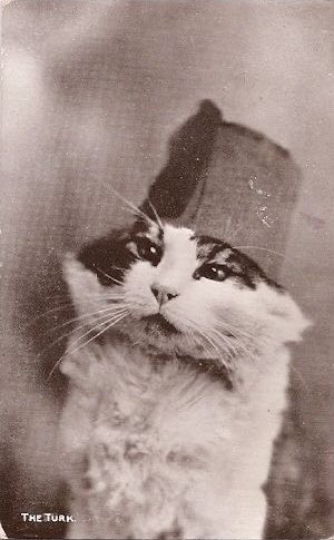 TheRumelian's tweet photo. “the turk” https://t.co/yPQkkRw2ZD