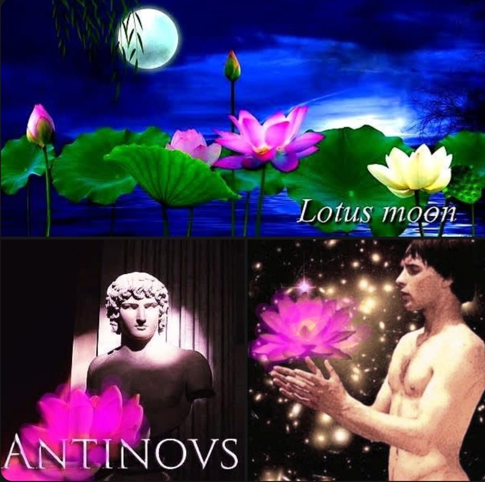 antinousgaygod's tweet photo. 🪷 Tonight's #Pisces #ThirdQuarter Lunar Phase is called the #Lotus Moon in #Antinous #MoonMagic. This is the night for making wishes come true. Click here to find out how: https://t.co/Pspib7yPan 🪷 https://t.co/NMLC7LDc1r