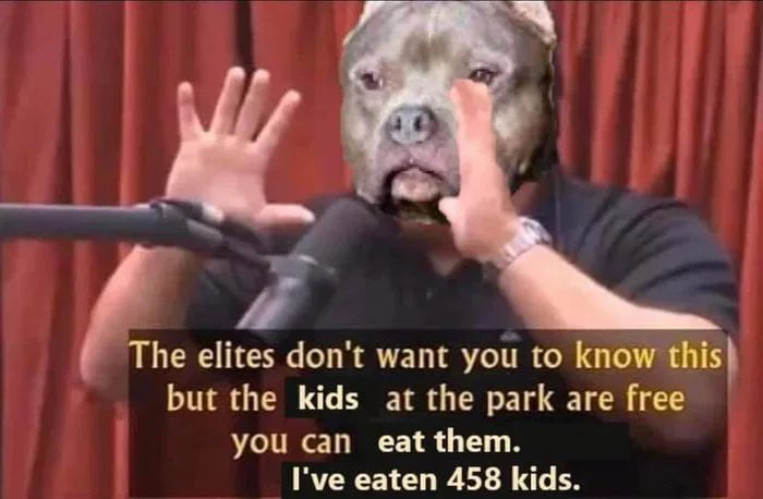 middleagedjitsu's tweet photo. @professorgaysex Why are you biking around and being so biteable? https://t.co/f5sVNCIKmD