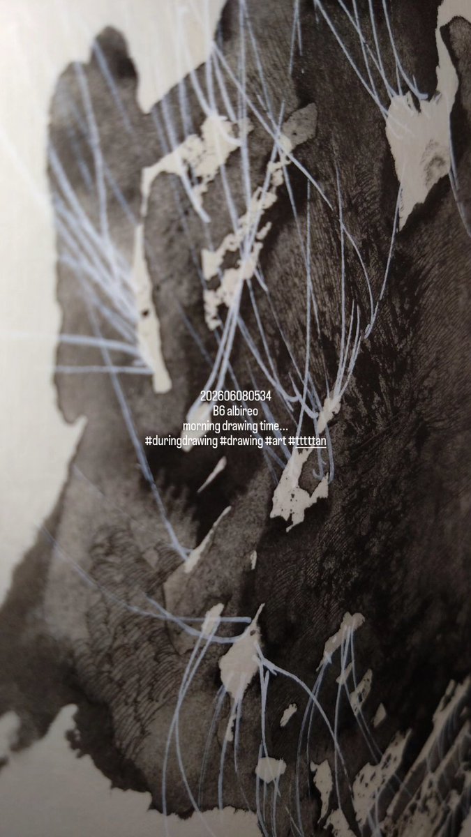 202606080534 B6 albireo morning drawing time #duringdrawing
