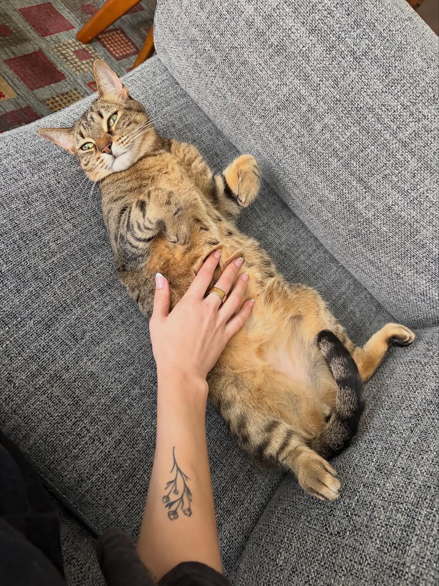 smoshbase_'s tweet photo. Courtney shares new photo dump on Instagram https://t.co/xKb60JzUdv
