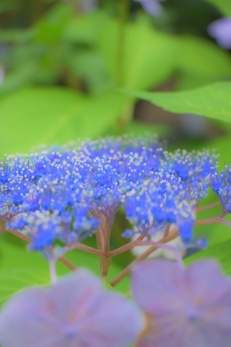 ____356c's tweet photo. ぐっもーにん☂ https://t.co/8fAC85fMlr