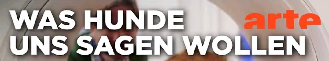 tvvidderradde's tweet photo. "bei alexander zverev gilt erstmal die unschuldsvermutung!!" https://t.co/P0mXlR4ivx