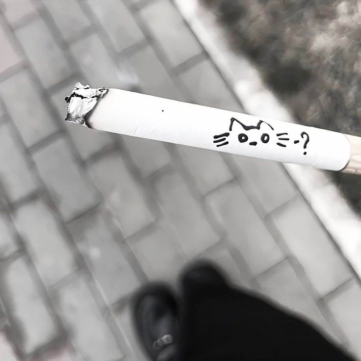 anime aesthetics tweet media