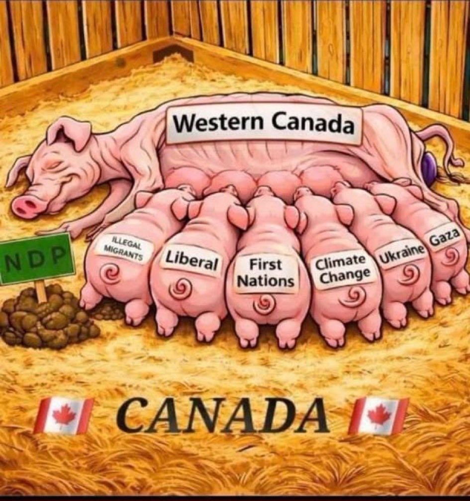 JTNotThePM's tweet photo. @saskatchewan_in @TruckerCanuk Well Melanie.
Carney is a bullshitter. 
Lieberals are liars. https://t.co/SNNbnB2qY8