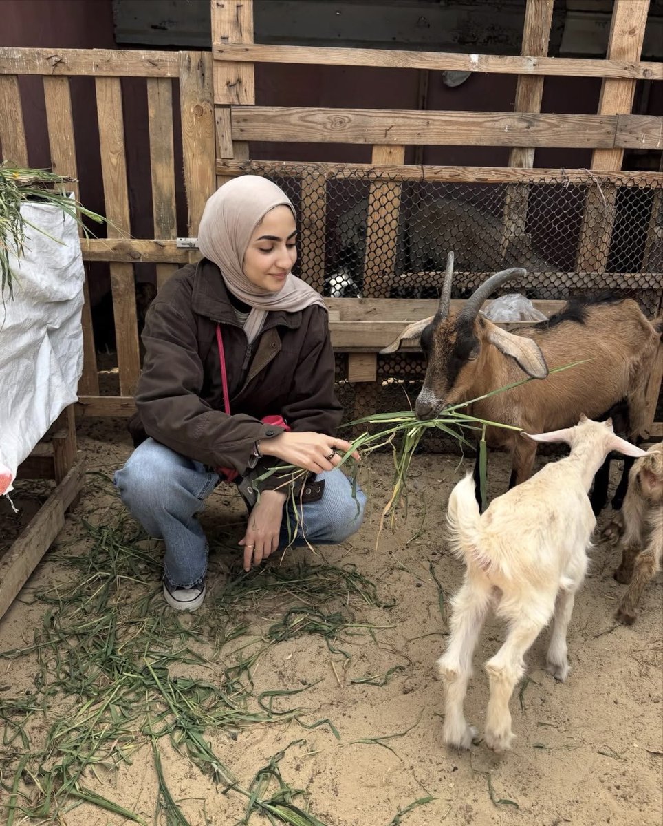 Nouralsaqa52's tweet photo. What does it all come down to? Family? Friends?
Reminiscing about the past, or savoring the little joys we have left? https://t.co/iKkc3IAGc9
