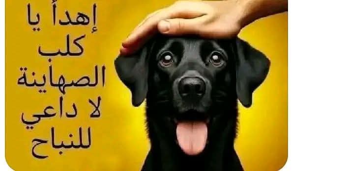 HKirde's tweet photo. @NicoleHajal https://t.co/0R9rbFam2f